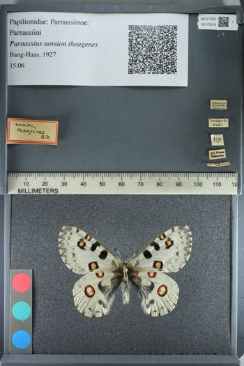 Media type: image;   Entomology 175019